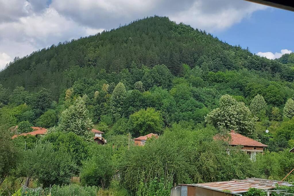 Двете Къщи В Планината Villa Beli Osum Exterior photo